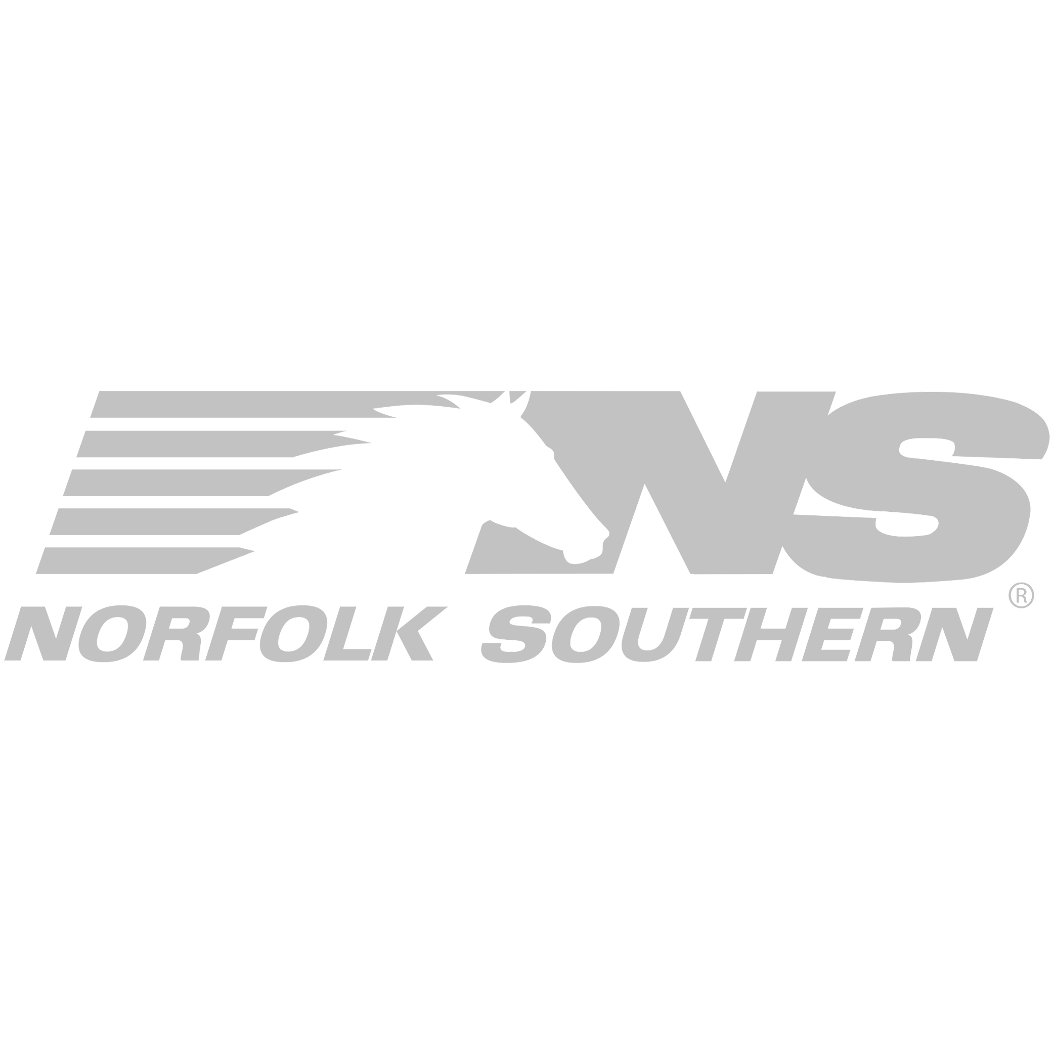 Norfolk Southern